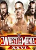 WrestleMania 26 中文