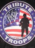 WWE Tribute To The Troops2010