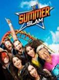 SummerSlam 2013/夏日狂潮2013