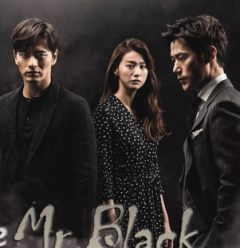 Goodbye Mr.Black/再见，布莱克先生